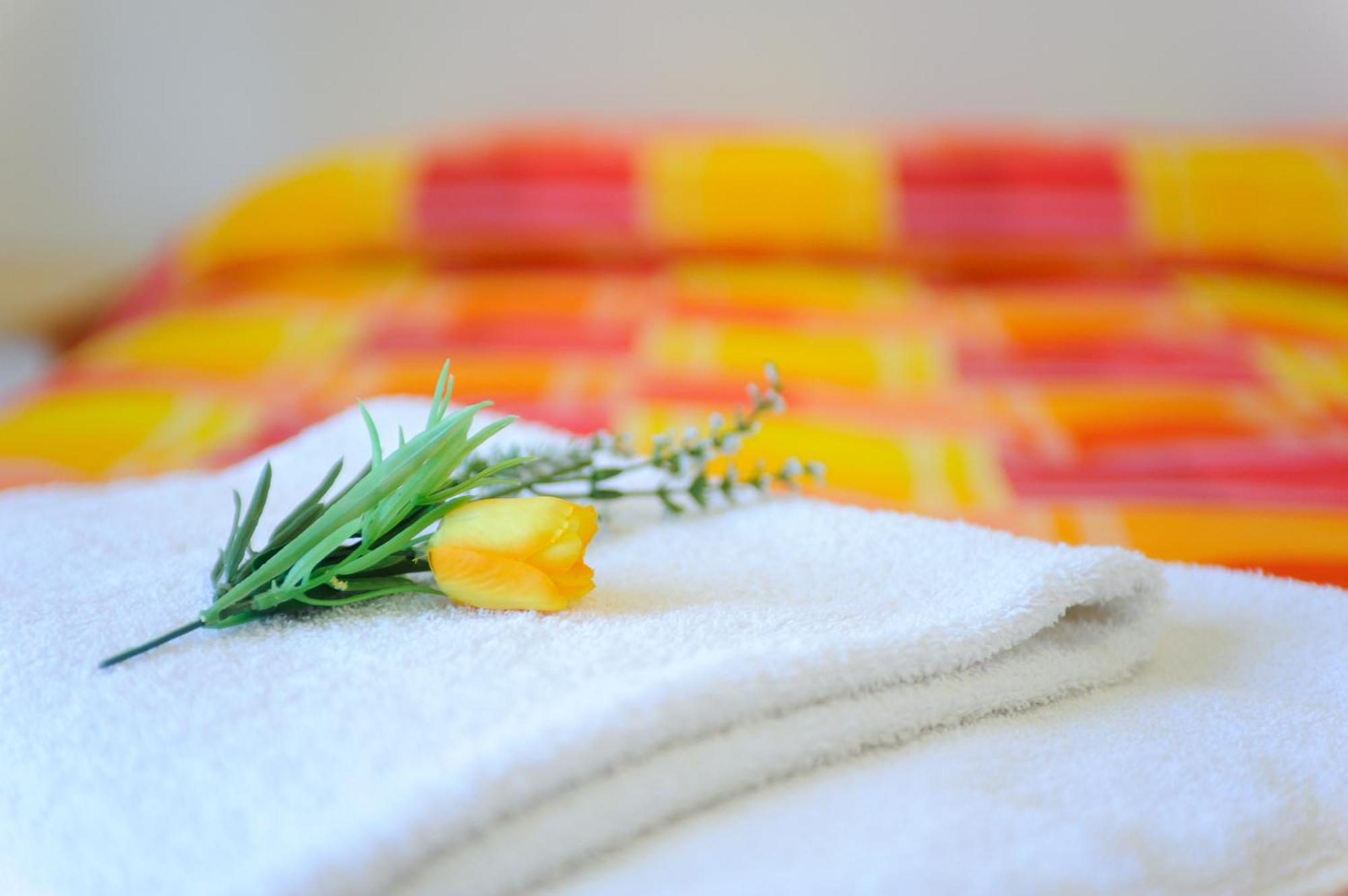 Hotel Petrarca 리미니 외부 사진